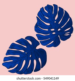 Exotic flowers set. Botanical vector vintage illustration.