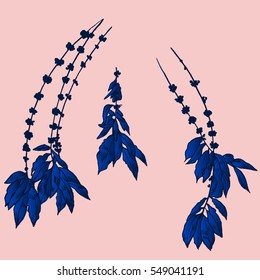 Exotic flowers set. Botanical vector vintage illustration.