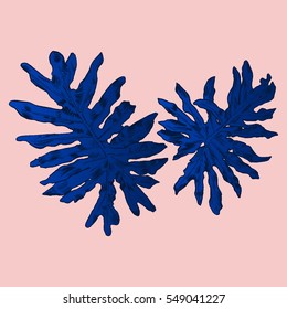 Exotic flowers set. Botanical vector vintage illustration.