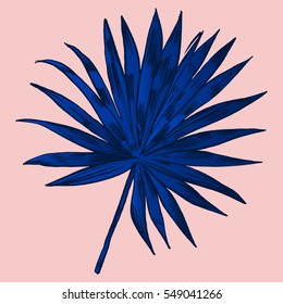 Exotic flowers set. Botanical vector vintage illustration.
