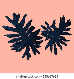 Exotic flowers set. Botanical vector vintage illustration.