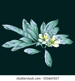 Exotic flowers set. Botanical vector vintage illustration.