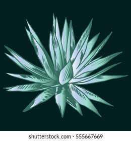 Exotic flowers set. Botanical vector vintage illustration.