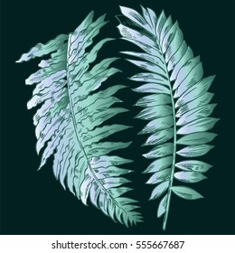 Exotic flowers set. Botanical vector vintage illustration.