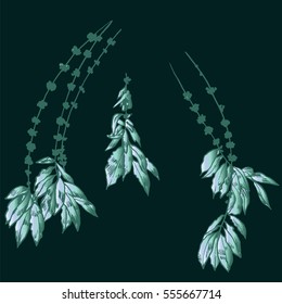 Exotic flowers set. Botanical vector vintage illustration.