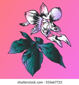 Exotic flowers set. Botanical vector vintage illustration.