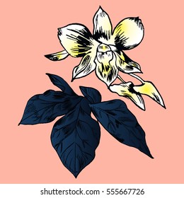 Exotic flowers set. Botanical vector vintage illustration.