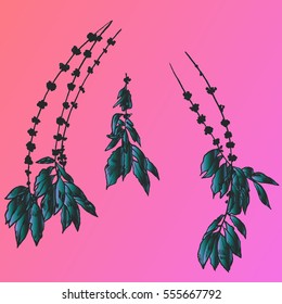 Exotic flowers set. Botanical vector vintage illustration.