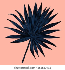 Exotic flowers set. Botanical vector vintage illustration.