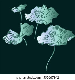 Exotic flowers set. Botanical vector vintage illustration.