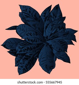 Exotic flowers set. Botanical vector vintage illustration.