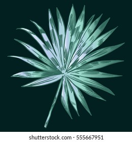 Exotic flowers set. Botanical vector vintage illustration.