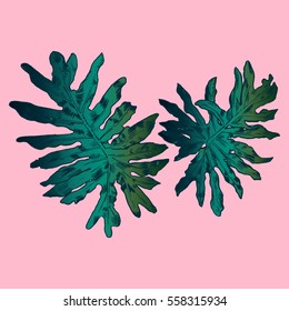 Exotic flowers set. Botanical vector vintage illustration.