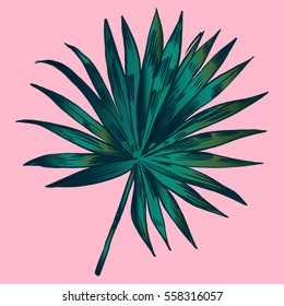 Exotic flowers set. Botanical vector vintage illustration.