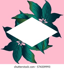 Exotic flowers set. Botanical vector vintage illustration.