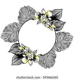 Exotic flowers set. Botanical vector vintage illustration.