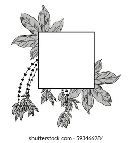 Exotic flowers set. Botanical vector vintage illustration.