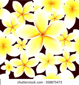 exotic flowers  Vector