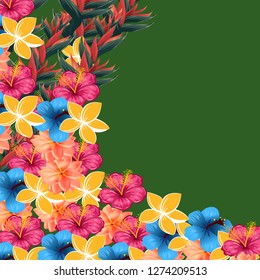 Exotic flowers vector illustration