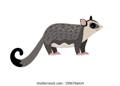 Exotic Flying Animal. Cartoon Fluffy Characters Of Zoo, Cute Beast Of Wildlife, Vector Illustration Of Sugar Glider Isolated On White Background