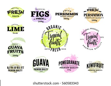Exotic food labels set of different colored tropical fruits in sketch style isolated vector illustration