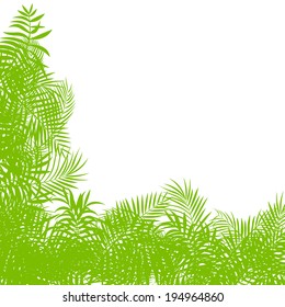 Exotic forest jungle leaves, grass and herbs vector background