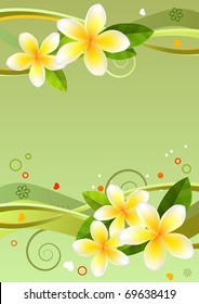 Exotic frame with frangipanies and abstract elements