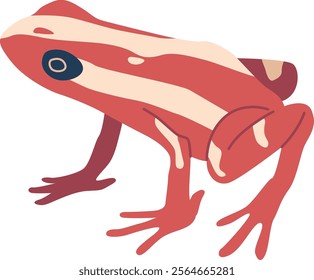 Exotic frog amphibian animal vector illustration