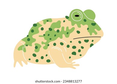 Exotic Frog Amphibian Vector Illustration