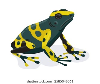 Exotic frog. Cartoon tropical rainforest amphibian animal, green exotic frog flat vector illustration. Cute frog on white background