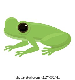 Exotic frog icon cartoon vector. Cute green. Evolution life