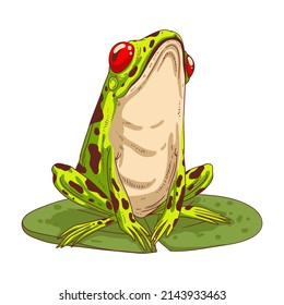 Exotic Frog, isolated vector illustration. Calm tropic froglet. A toad, sitting on a round lily pad. Vivid red-eyed poisonous frog. A toxic amphibian. Dangerous little frog