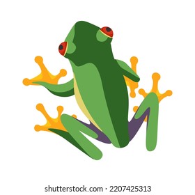 Exotic Frog Reptile Amphibian illustration
