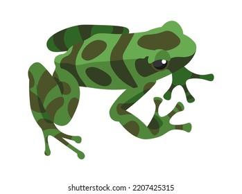 Exotic Frosch Reptile Amphibien Illustration