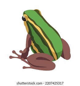 Exotic Frog Reptile Amphibian illustration