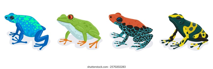 Exotic frogs. Tropical rainforest amphibian animals, tree frog and colorful poison frogs flat vector illustration set. Cartoon frogs isolated on white background