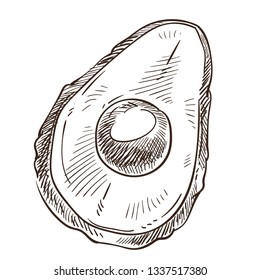 Exotic fruit avocado isolated sketch organic product vector food growing meal seed plant monochrome drawing vegetarian or vegan menu element vitamin nutrition healthy dish or meal ingredient