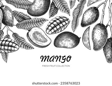 Diseño de pancartas de frutas exóticas. Ilustración vectorial hecha a mano por el mango. Frutos de mango, ramas de árboles, hojas de bocetos. Plantilla de diseño de alimentos saludables, antecedentes de verano