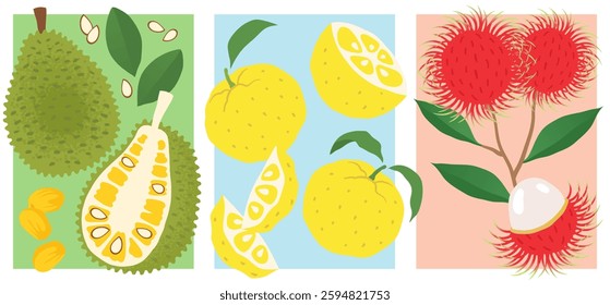 Exotic Fruit Collection - Jackfruit, Yuzu, Rambutan.