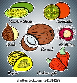 exotic fruit color set vector illustration