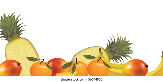 Exotic fruit design border isolated on white. Vector.