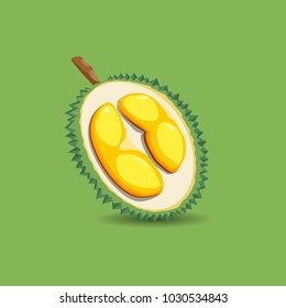 Exotic fruit durian on a green background. A half of fresh, organic and mature durian fruit. Vector illustration.