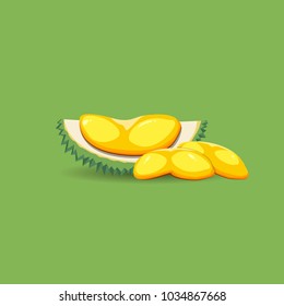 Exotic fruit durian on a green background. A half of fresh, organic and mature durian fruit. Vector illustration.