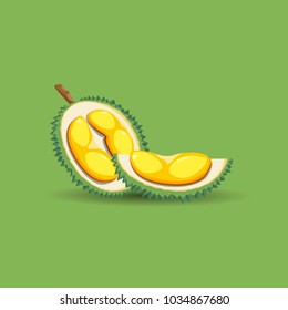Exotic fruit durian on a green background. A half of fresh, organic and mature durian fruit. Vector illustration.