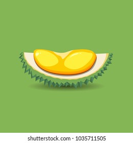 Exotic fruit durian on a green background. A half of fresh, organic and mature durian fruit. Vector illustration.