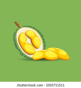 Exotic fruit durian on a green background. A half of fresh, organic and mature durian fruit. Vector illustration.