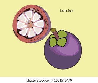 exotic fruit icon and vector to work your design image