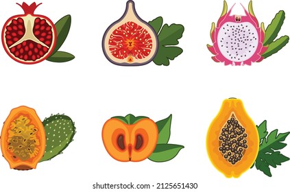 Exotic fruit icons, for use on juice labels or simple and minimalist  advertisements.
