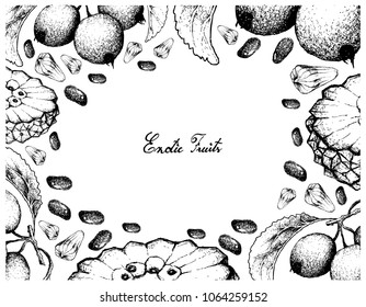 Exotic Fruit, Illustration Frame of Hand Drawn Sketch of Crabapple and Pindaiva, Pindaiba, Pindauva or Perovana Fruits Isolated on White Background. 