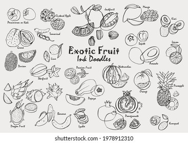 Exotic fruit ink drawing doodle vector icon set. Hand-drawn tropical fruit line art collection.